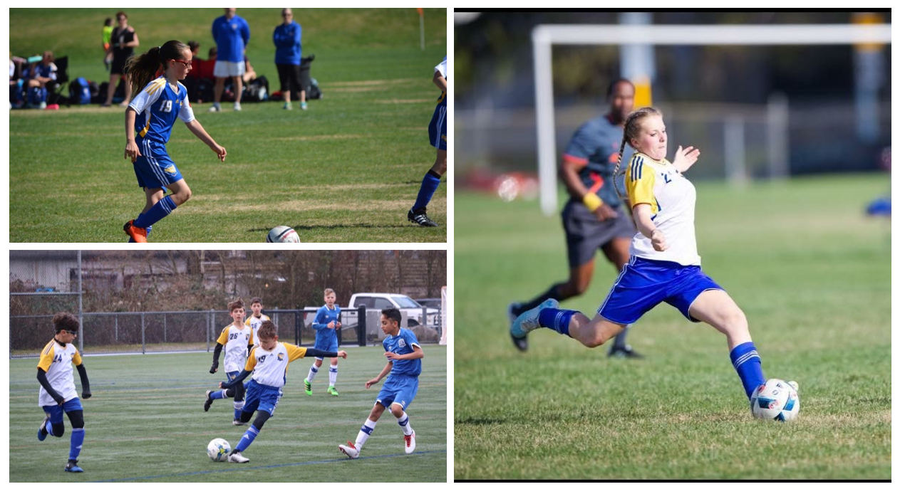 U11-17 Impact