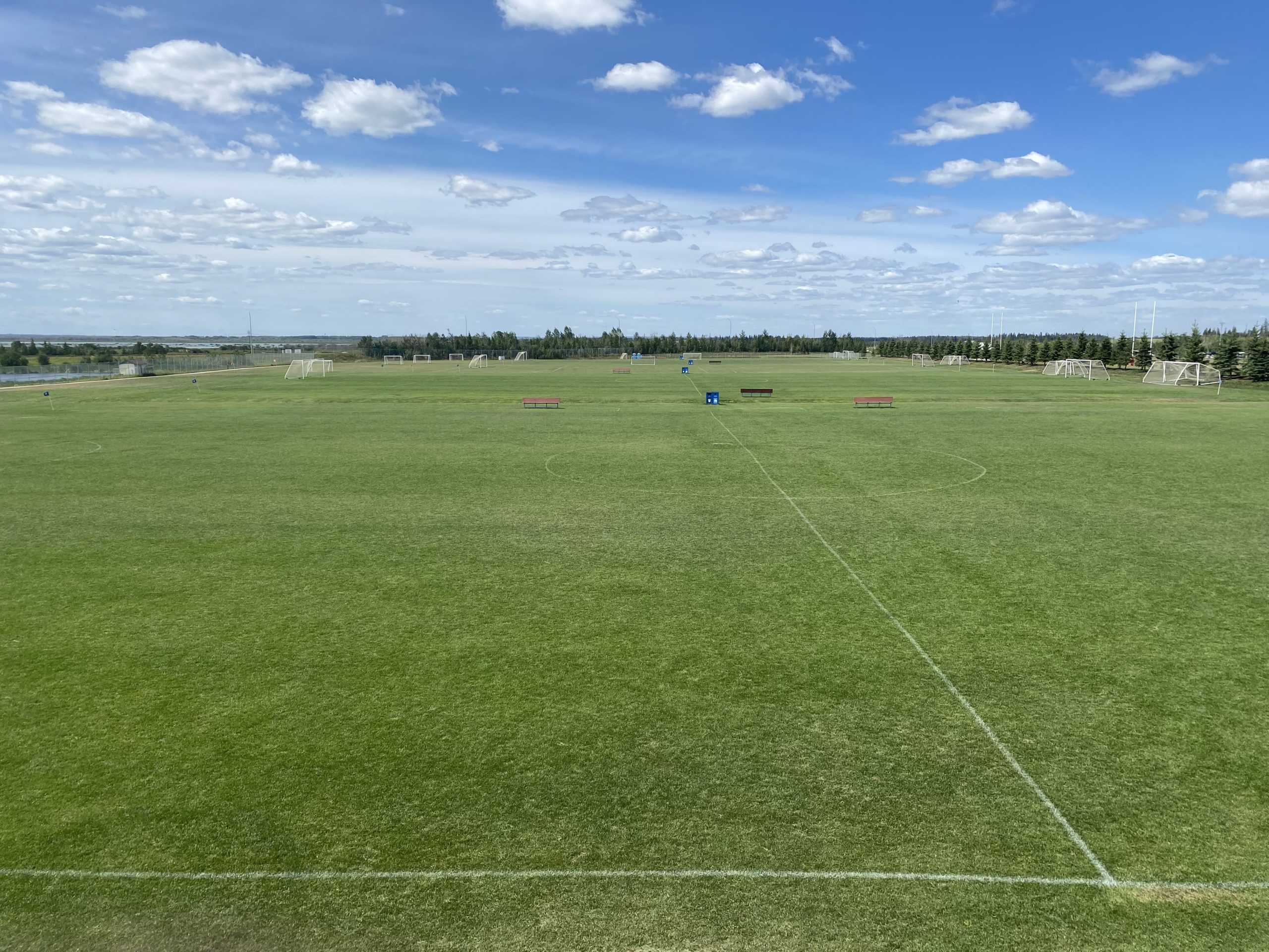 Riel Fields1 Riel Fields1