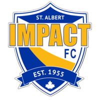 Impact logo website2