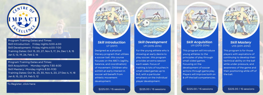 Website Flyer ICE Website Flyer ICE