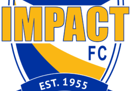 Impact 2021 Transparent